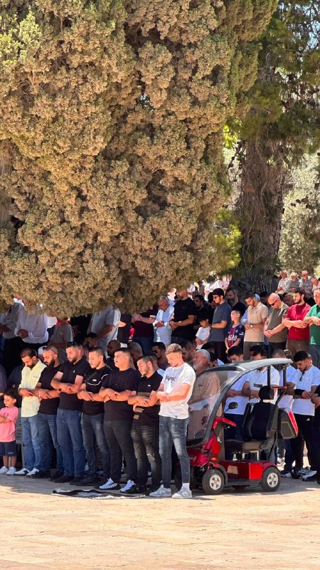 עשרות אלפים התפללו באל-אקצא ביום שישי למרות צעדי ישראל