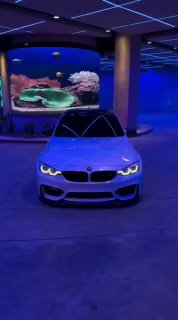 https://t.me/bmw_mpower_club