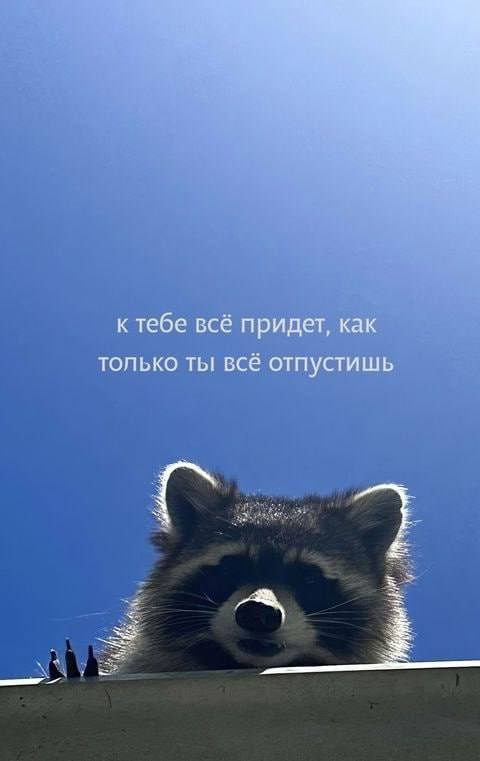 Забирайте послание на день если отправишь своей любимке Я В ДОМИКЕ Please open Telegram to view this post VIEW IN TELEGRAM - изображение 4 - telegram, view, забирайте