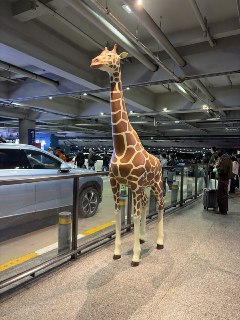 冷知识，日本人管这东西叫麒麟……