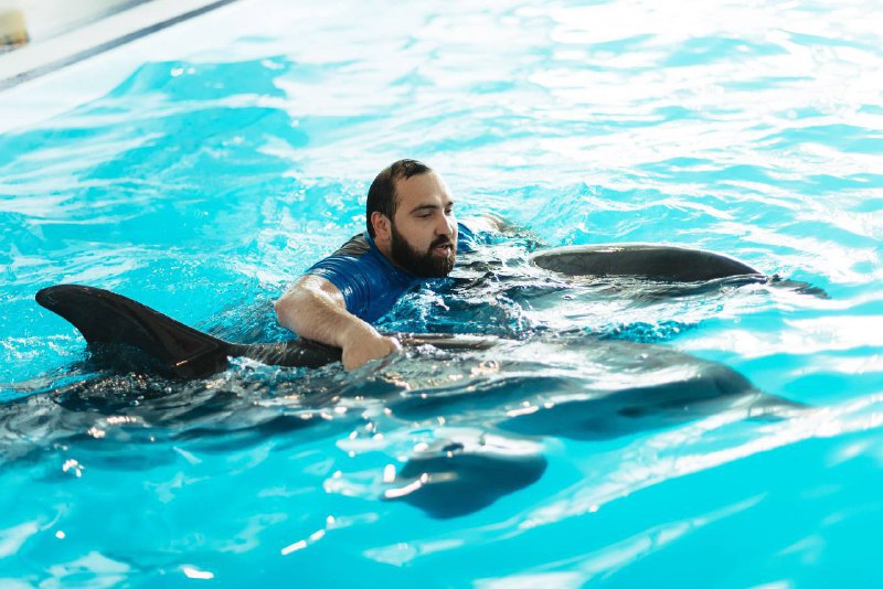 Изображение 7