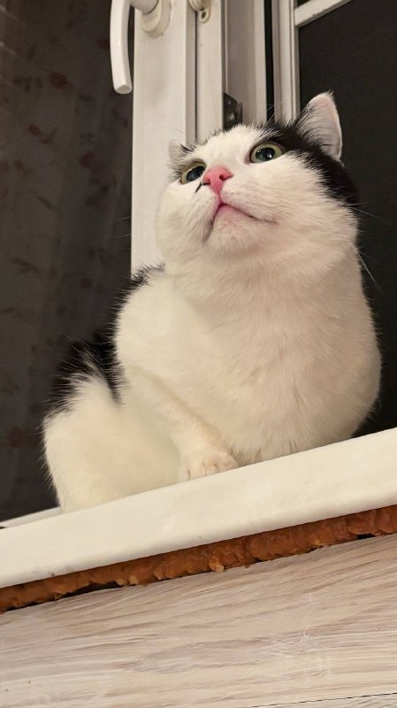 Ода Булочке — фото 3 из 3