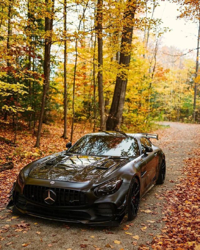 Mercedes Benz