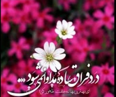 معارف اهل بیت (ع): ❤️ مهدےجانم ❤️درد فراق،ساده مداوا نمی شود...باید به هم رسید وَ اِلّا نمی شود!از شنبه بسته ایم به جمعه دخیل اشک...تا تو ن