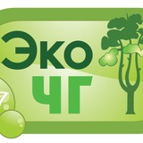 ЭкоЧГ