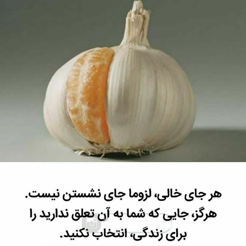 کانال اخبار امیران: هر جای خالی ، لزوما جای نشستن نیست.هرگز ، جایی که شما به آن تعلق ندارید را برای زندگی، انتخاب نکنید.🅰️ @AmiranNews