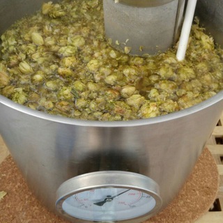 Cerveceros artesanos Homebrewers 🍺