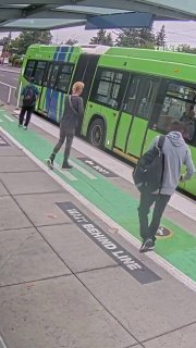 צילום פראי: שתי עזים פיגם עלו על אוטובוס TriMet בפורטלנד במהלך הנסיעה בבוקר.