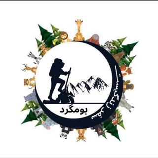 بومگرد