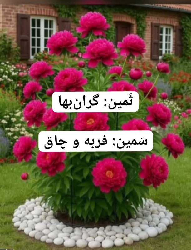 Ganje Hozour Spiritual Messages پیامهای معنوی گنج حضور: 📕 بسی رنج بردم در این سال سیعجم زنده کردم بدین پارسی(هجونامه منتسب به فردوسی)📌 هرکسی که ایرانی است و می‌گوید من ایرانی ه