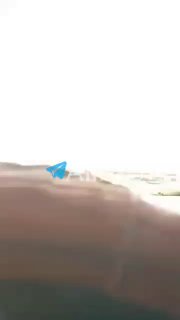 בסיסים צבאיים מגבילים את הכוחות הנאמנים לסעודיה לצאת לרחובות בחום הלוהט הזה מחשש להתמקדות נוספת בהתכנסויותיהם.