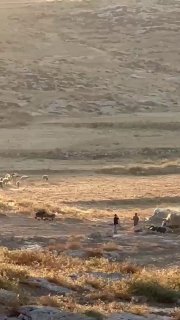 רשת חדשות ירושלים