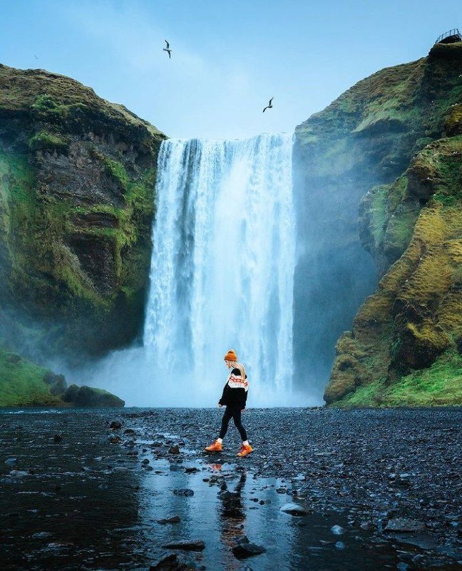 🦋️انرژی مثبت️🦋: ☘🥇☘Don’t live a life regretting the things you didn’t do. Go do things!در پشیمانی کارهایی که انجام ندادی زندگی نکن، برو