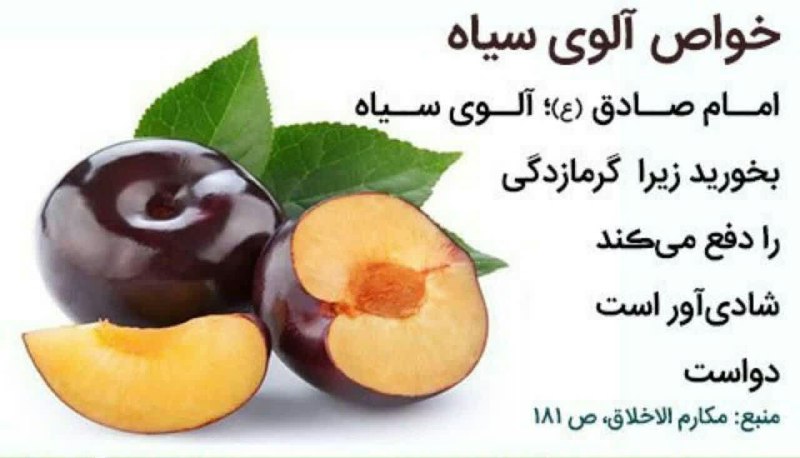 دفتر آیت الله تبریزیان: 🍐 [آلو سیاه]🍏نگاه اسلام به خوراکی‌ها تنها به تغذیه محدود نیست؛ در روایات، درباره برخی میوه‌ها سفارش‌ها، نکات و آموزه‌های