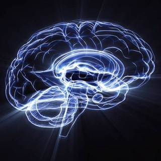 Telegram profile photo for Neuropedia
