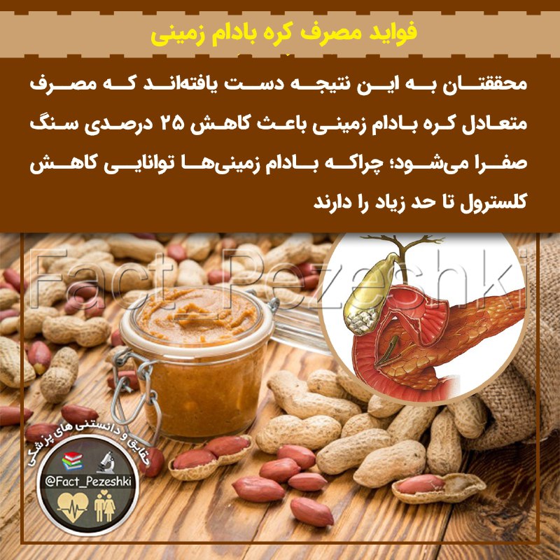 👨‍⚕️حقایق پزشکی 📚: ✅ فواید مصرف کره بادام زمینی🔺محققتان به این نتیجه دست یافته‌اند که مصرف متعادل کره بادام زمینی باعث کاهش ۲۵ درصدی سنگ صف
