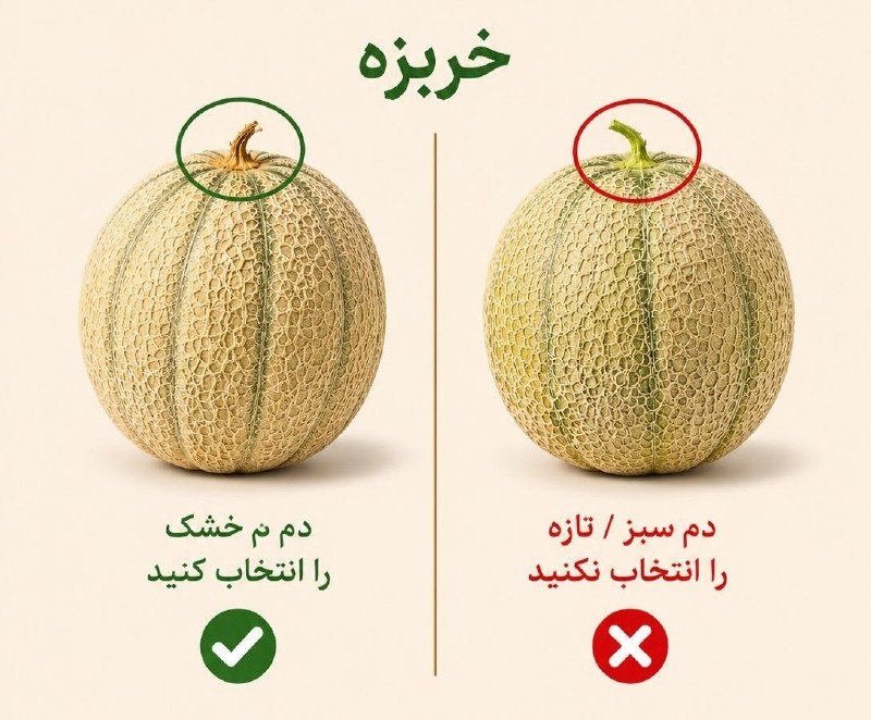 مطالعات اجتماعی اهواز: 🍈 انتخاب خربزه صحیح و سالم