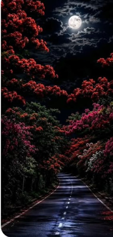 ترنم احساس🌺🍃: #مولاناکه چراغ دزد باشد شب و خواب پاسبانانبه دمی چراغشان را ز چه رو نمی‌نشانیبگذار کاهلی را چو ستاره شب‌روی کنز زمینیان 