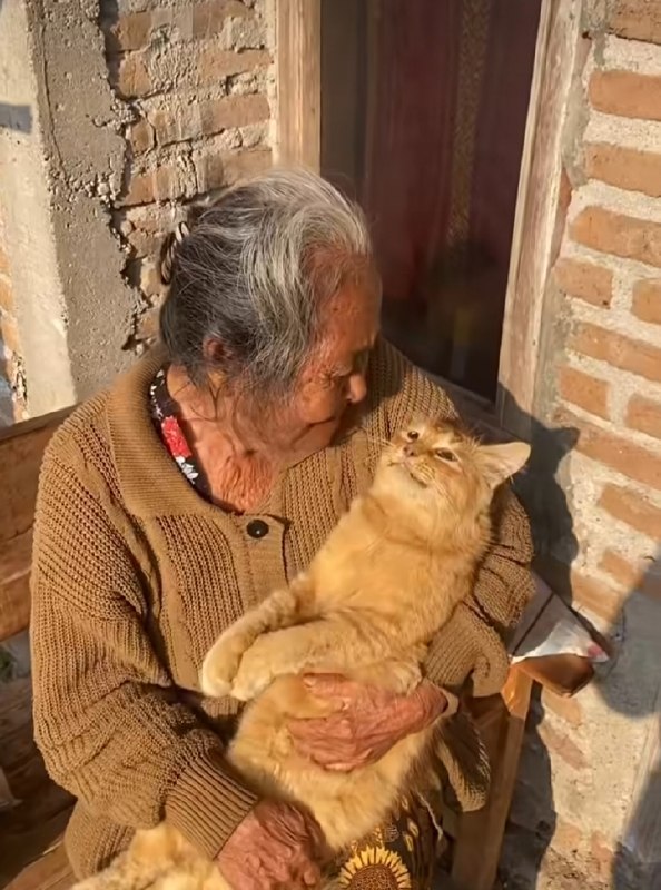 🎶آژوان🎶: دوست دارم که هر ده‌سال یک‌بار از قبرم برخیزم و مقداری روزنامه بخرم. روزنامه‌ها را زیر بغل می‌زنم، بعد کورمال کورمال به ق
