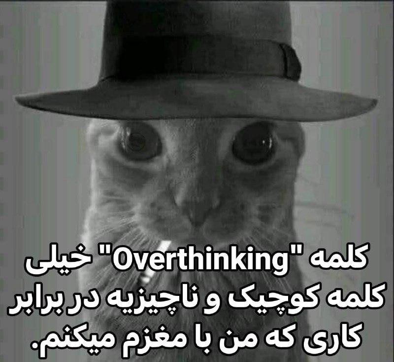 ꏳꍏꏳ꓄ꀎꌚ🌵: خیلی کمه🤏🏻😵‍💫