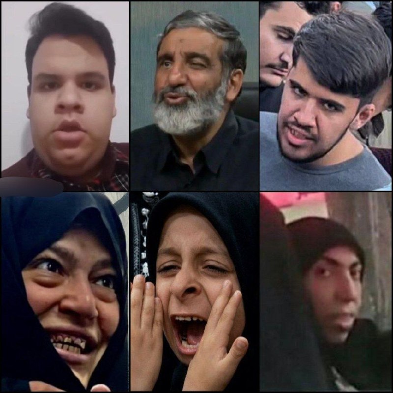 لطفاً گوسفند نباشید !: جدی اینا چرا این شکلین؟ هر کدومش میتونه کاور یه فیلم ترسناک باشه...@Not_Sheep 🐏🐏