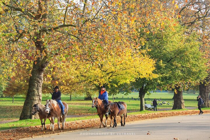 【英國倫敦攻略】最大的皇家庭園 放慢腳步 划小船 看天鵝 海德公園（Hyde Park）
