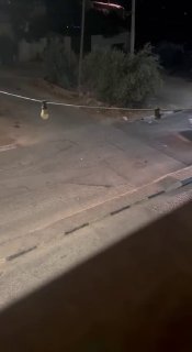 רשת חדשות ירושלים