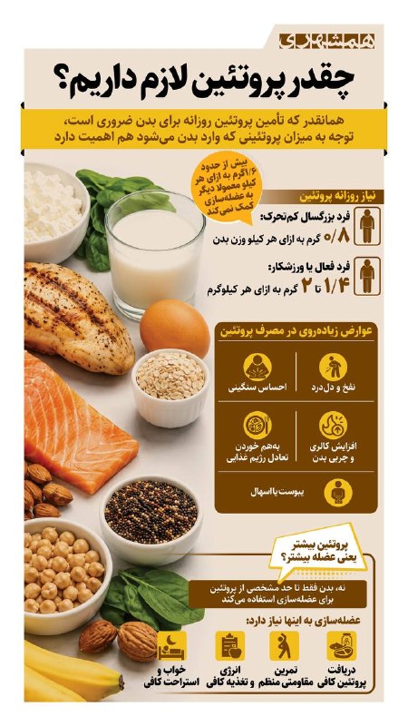 همشهری اصفهان: 📊یک فرد بزرگسال روزانه به ۰/۸ گرم پروتئین به ازای هر کیلو از وزن بدنش نیاز دارد@hamshahri_info