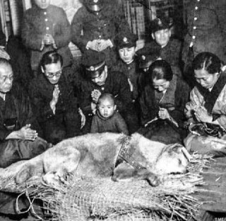 A posthumous photo of Hachiko, who waited for his deceased owner for more than nine years. Japan, 1935.Time Machine | Historical Photo