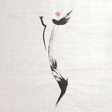 NAGOTA