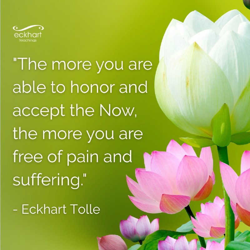 The more you are able to respect and accept the present, the more free you are from pain and suffering.