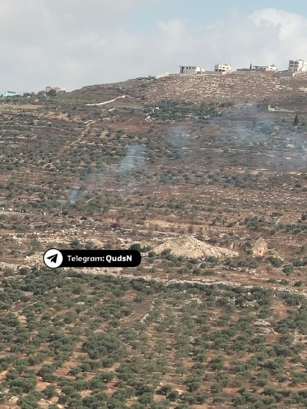 דחוף: מתנחלים הציתו אדמות חקלאים בפאתי הכפר טל, דרומית מערבית לשכם.