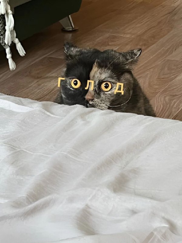 Image from a post by Коротко о Клубе Романтики
