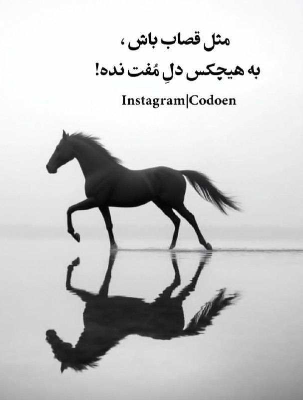 "دراموفین: 💜 💜