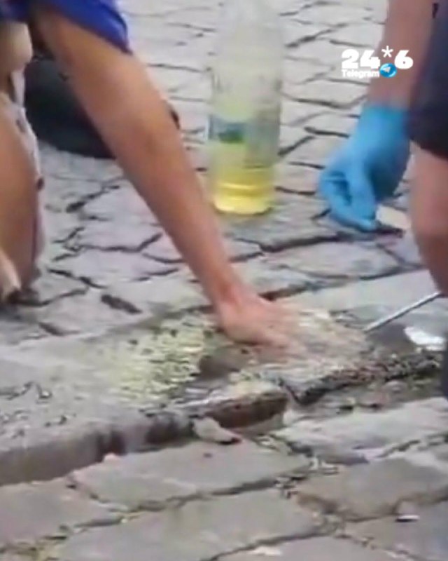🇮🇱 גרמניה: פעילה פרו פלסטיזית הדביקה את ידיה למגרש בכניסה למפעל שמייצר חלקי נשק עבור ישראל.המשטרה הגיעה ל…