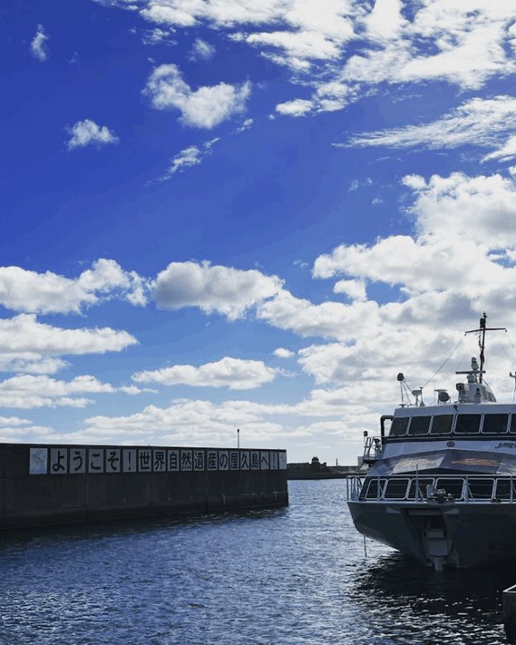 來趟日本屋久島 Yakushima Island 的登山之旅尋找魔法公主吧！( Travel alone 14天 _Part 4 )
