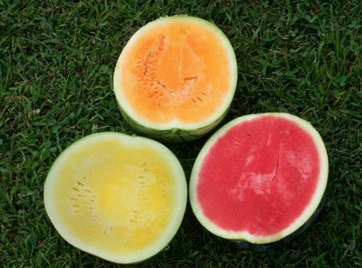 تقویم نجومی همسران واذکار روزانه: #پیام_سلامتی 📸خواص هندوانه🍉🔸زرد : تصفیه خون، تنظیم فشار،تنظیم عملکردقلب،مفیدبرای کبد و کلیه،ضد سنگ کلیه و سرطان،کاهش سکت