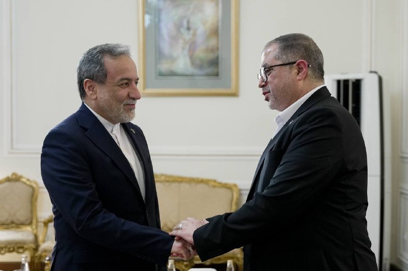 באסים נעים, חבר הלשכה המדינית וראש המשרד ליחסי ערבים-סלאמי של תנועת ההתנגדות האסלאמית הפלסטינית (חמאס), נפג…