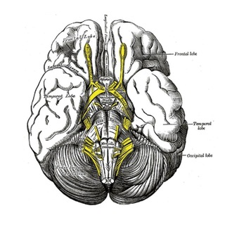 Para 43