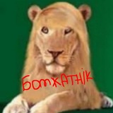 Бомжатник |