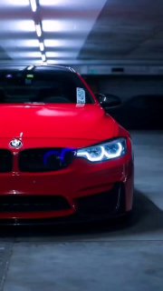 https://t.me/bmw_mpower_club