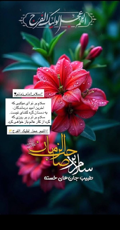 ذڪـر رۅزانـہ: ☞❥‌‌‌‌‌‌‌‌‌‌‌‌‌‎‌‌‌‎‌‌‌‌‎‌‎‌‌‎‌‌‎‌‌‎‌‎‌‌‎‌‎‌‌‌‌‎‌‌‌‌‌‎‌‌‌‌‎‌‌‌‎‌‎‌‌‌‎‌‎‌‌‎‌‎‌‎‌‎‌‌‎‌‌‌‌‌‌‌‌‎‌‌‌‎‌‌‎‌‎‌‎‌‌‎‌‎‌‎‌‌‎‌‎‌‌‎‌‎