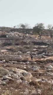 Fearing that it might be a trap... the IDF blows up a flagpole of the Palestinian flag in the lands of the village of Deir Jarir, northeast of Ramallah.