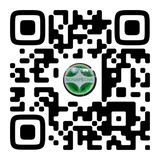 Китайский чай 中国茶 NONAMECHA