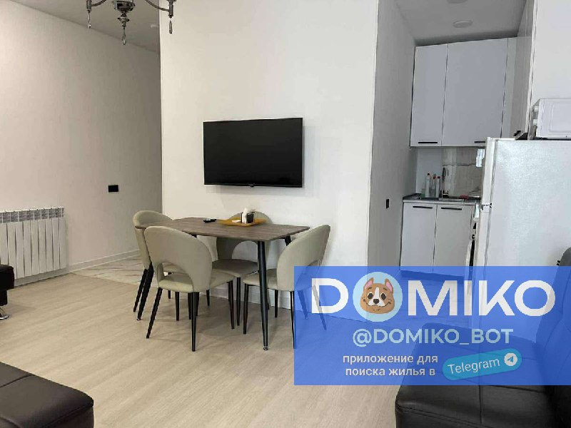 1+1, 12 этаж, 50 кв/м