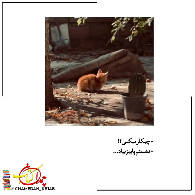 چمدان کتاب: -چکار میکنی؟!_نشستم پاییز بیاد...⌲ @chamedan_ketab 📚