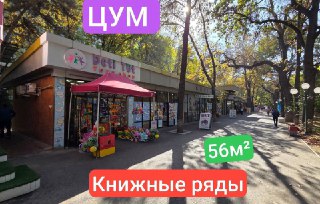 ЦУМ Книжные Ряды | 56кв - нежилое помещение вдоль дороги Продажа
