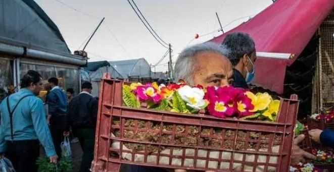 تجارت‌ نیوز: 🔻بازار گل محلاتی باید تخریب و نوسازی شودشهردار منطقه ۱۴ تهران: ▪️بازار گل شهید محلاتی باید به طور کامل تخریب و نوسازی شو