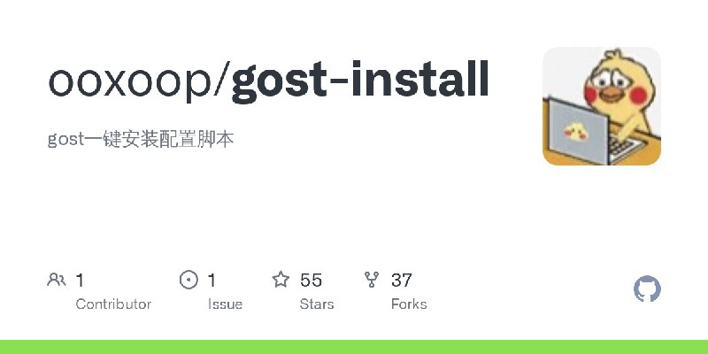 GitHub - ooxoop/gost-install: gost一键安装配置脚本