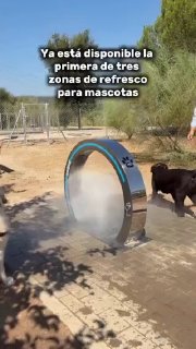 A public cooling station for dogs in Spain.